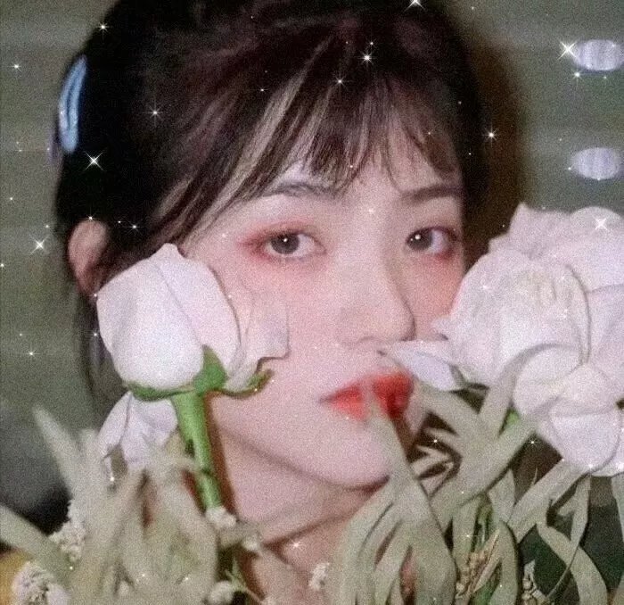 人皮灯笼粤语